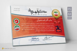 طرح حکم قهرمانی ووشو لایه باز